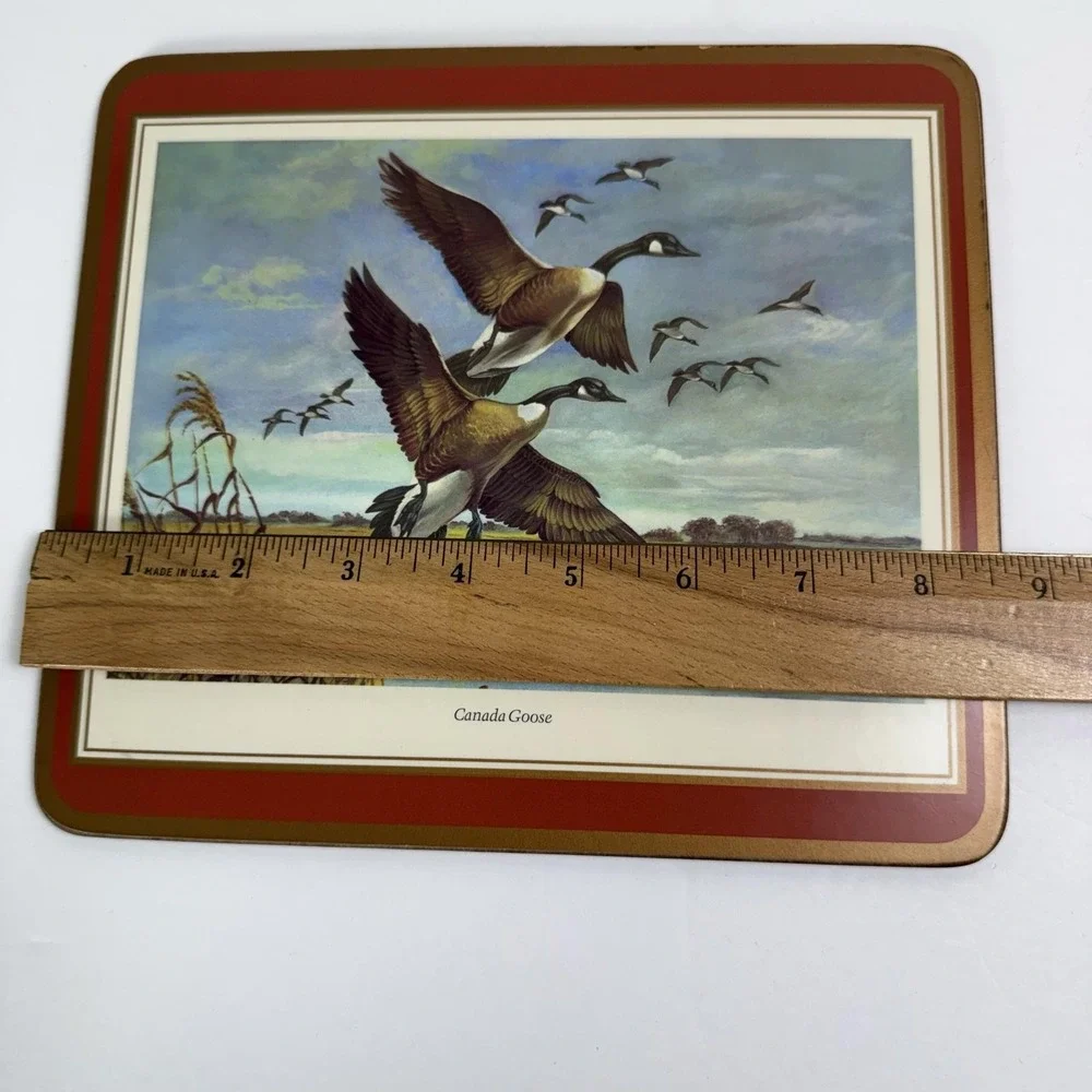 Game Bird Cork Placemats Set Of 4 Plastic Canada Goose Pheasant Grouse Snipe